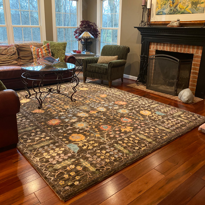 rug in living room