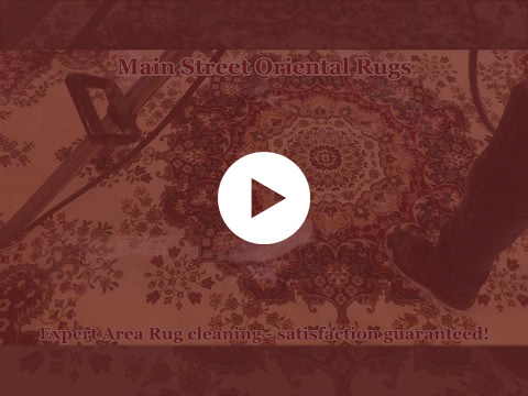 rug washing video thumbnail